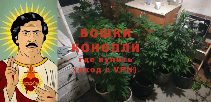 Бошки Шишки LSD WEED  закладка  Буинск 